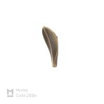 قلاب-لباس-2004زیتونی