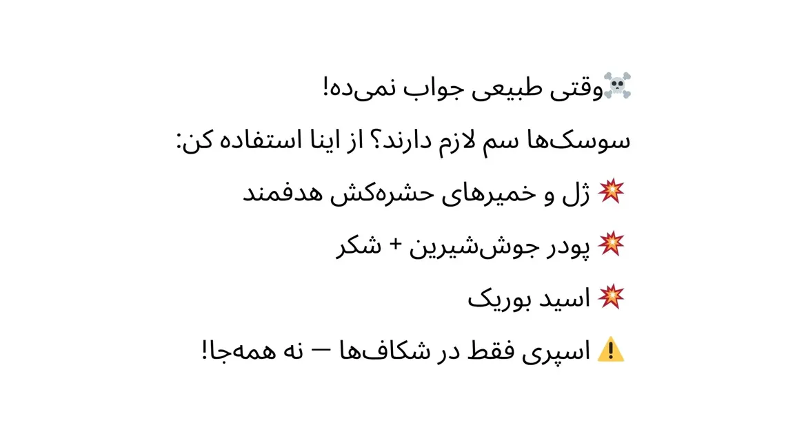 روش شیمیایی مقاله با سوسک کابینت