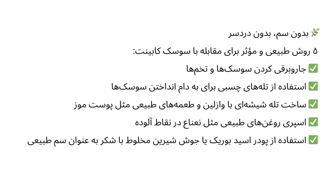 روش طبیعی و مؤثر برای مقابله با سوسک کابینت