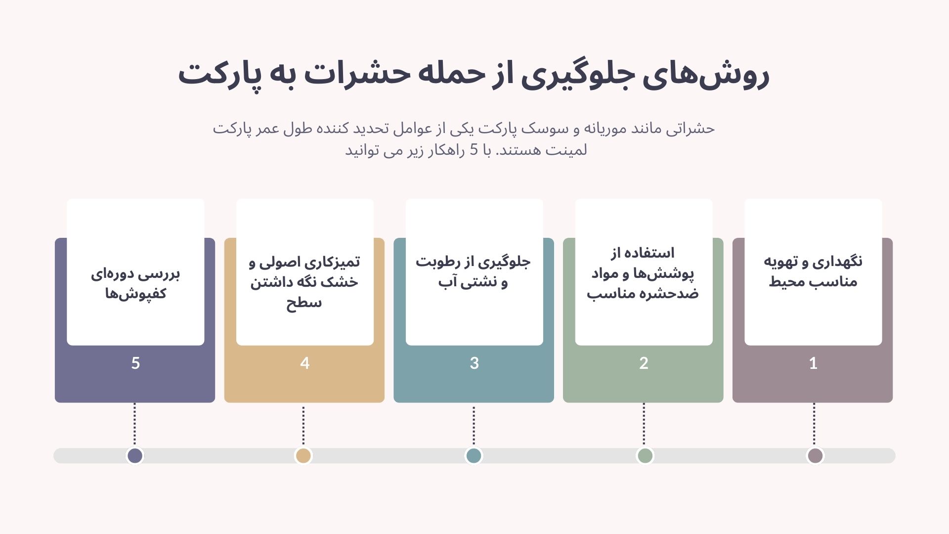 پارکت حشره می زند؟ 