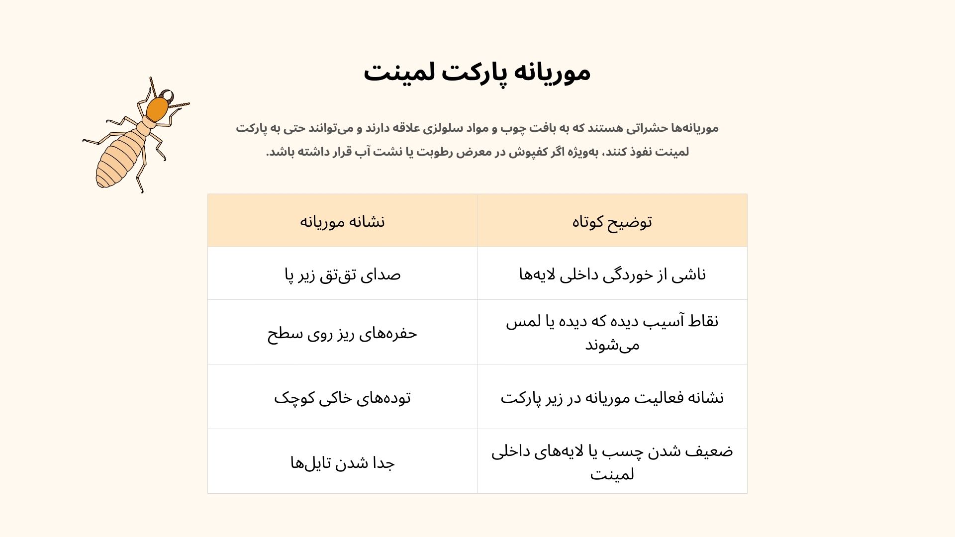 موریانه پارکت لمینت