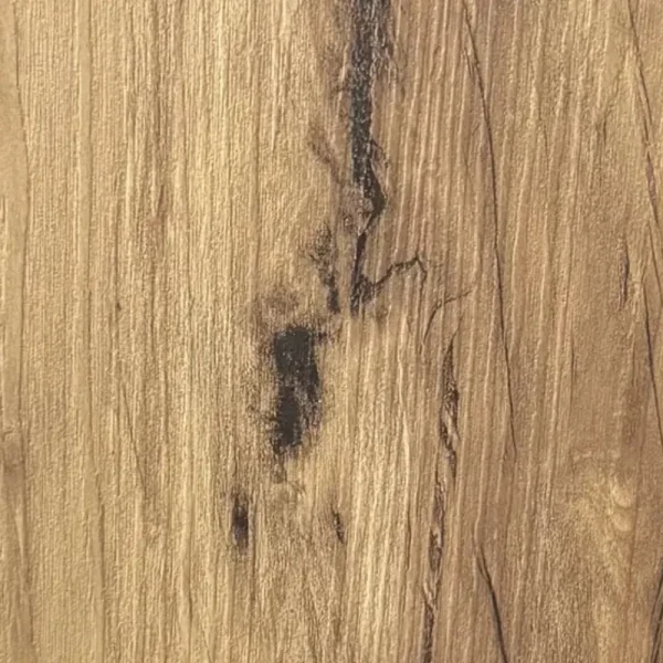 استریپ کلایسک 2006